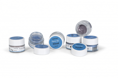 PAINT 3D Enamel Sagemax
